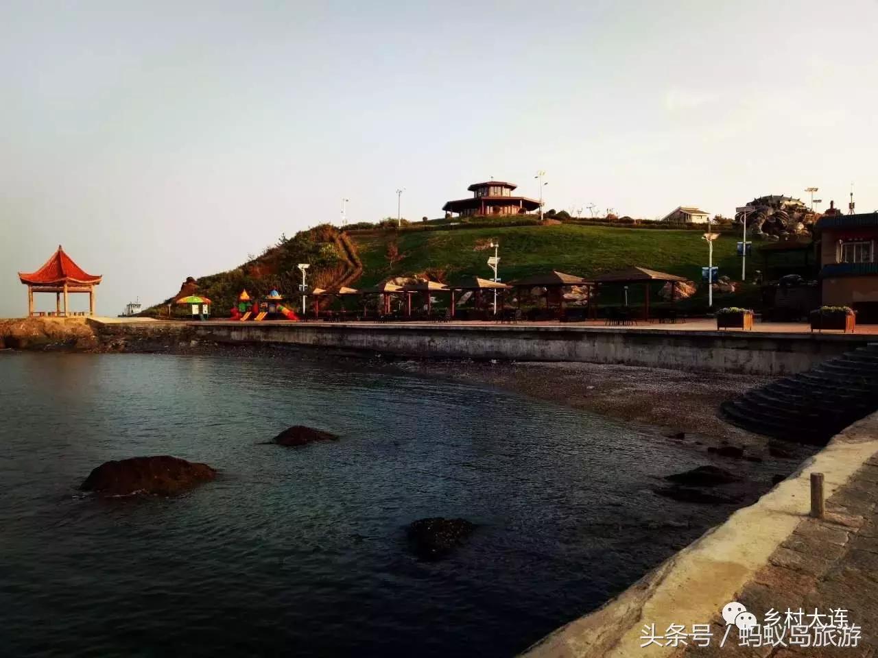 蚂蚁岛一日游,蚂蚁岛半日游