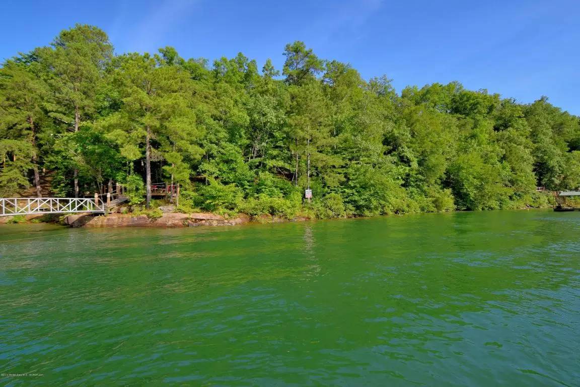 100万在世界各地能买什么样房子,100万能在世界各地买到怎样的房子