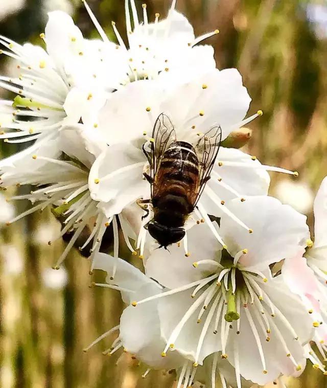 cmpa手机摄影欣赏,cmpa东莞坎普