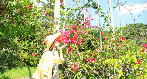 一起去三亚旅游就是最好的陪伴,三亚攻略自由行情侣