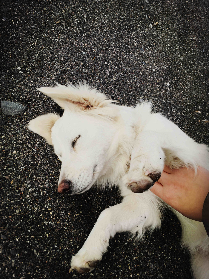 远离城市的喧嚣在静谧的时光里,远离城市的喧嚣静静的感受海浪