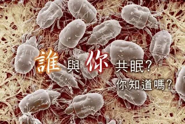 被宝宝咬后皮肤发黄是什么原因,婴儿被虫子咬过之后的皮炎