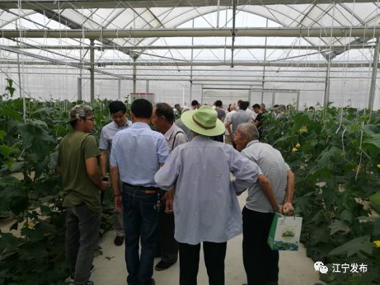 大走访,大走访大调研