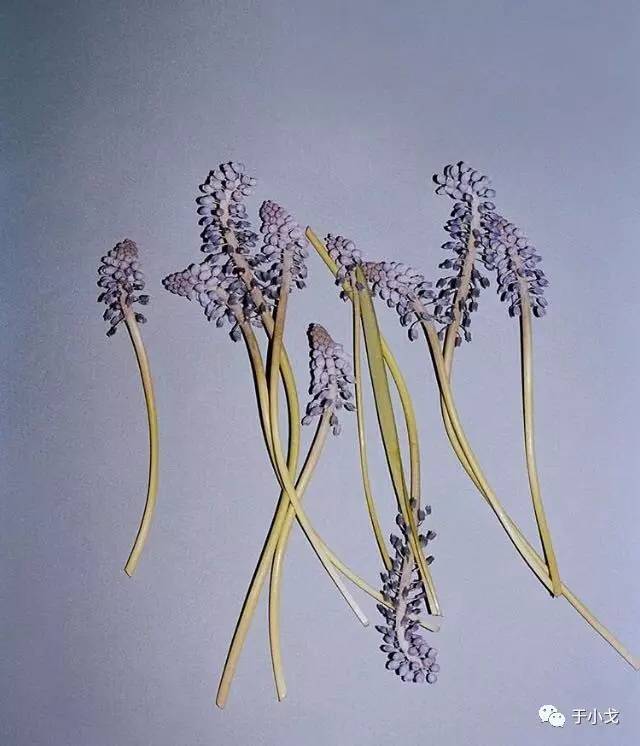 断舍离你认为你最该扔掉的东西,断舍离后你的东西变少了吗