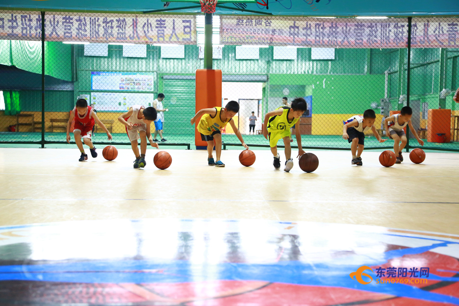 广东东莞篮球青训一年多少钱,东莞新世纪篮球青训队