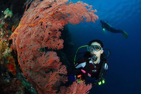 千万不要把潜水人像拍成糖水片