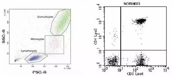 你这磨人的小妖精视频,你这磨人的小妖精下一句是什么呢