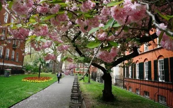 英国南部城市有哪些大学,英国的大学之城