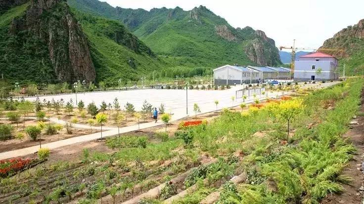 承德世纪城发生一起虐猫事件，可以不爱，请不要伤害！