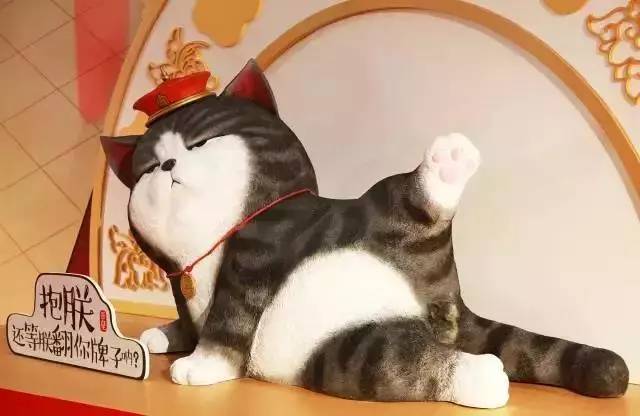 盘点十大网红萌宠,盘点全网6只网红萌宠