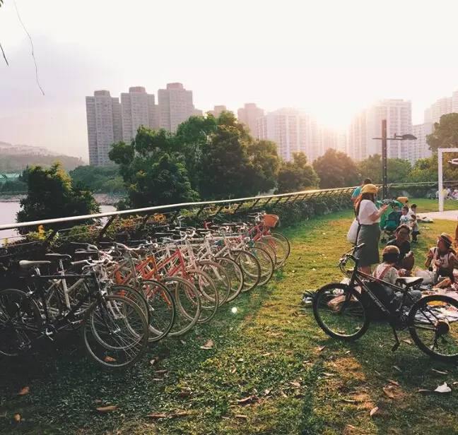 香港吃喝玩乐旅行攻略,香港跟团游有不去澳门的吗
