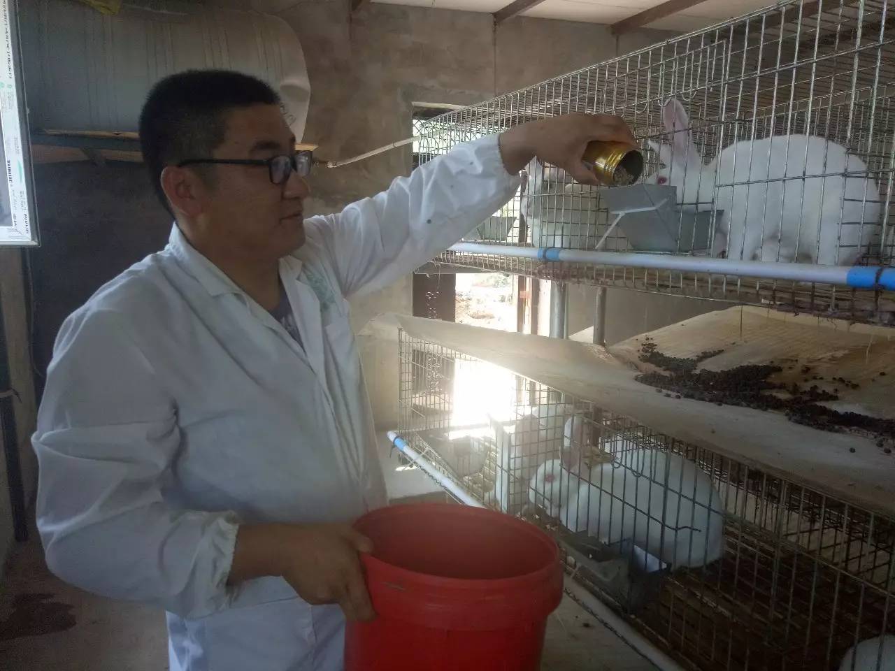 小兔子乖乖花了多少钱,小兔子乖乖幸福成长