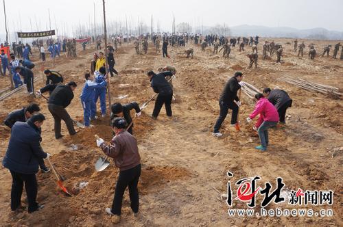 在燕赵大地续写绿色传奇
