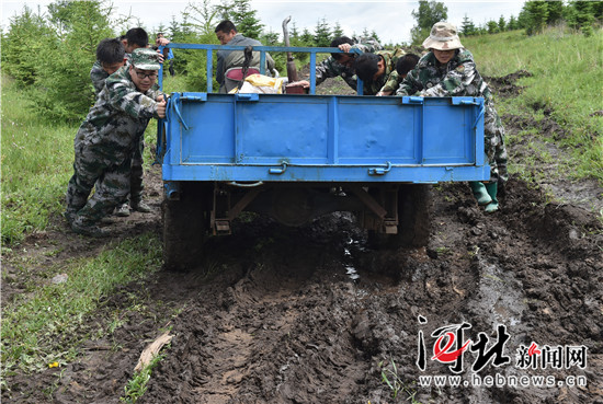 在燕赵大地续写绿色传奇
