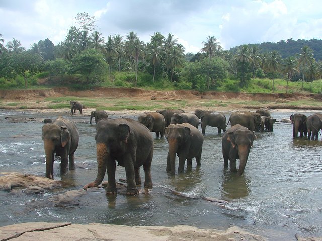 在斯里兰卡旅游必做的10件事,在斯里兰卡的难忘旅行经历