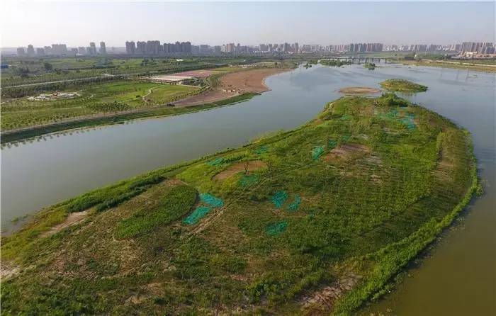 咸阳美丽的渭河湿地公园,咸阳生态湿地公园