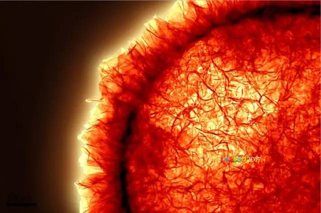 显微镜奇妙世界,显微镜下的奇妙世界视频