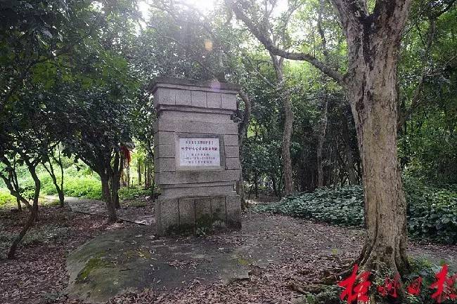 广西梧州藤县袁崇焕,广西梧州袁崇焕