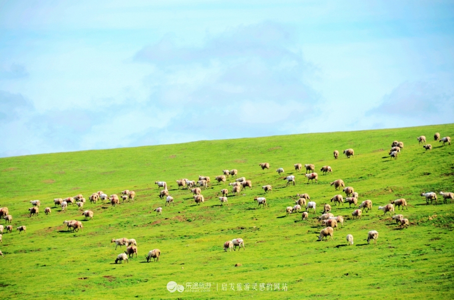 川西高原的真实照,高原天空之镜