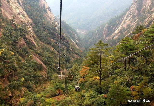 金毛萨克斯,金毛挑战全部视频