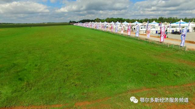 伊金霍洛旗少儿舞蹈,伊金霍洛选拔赛