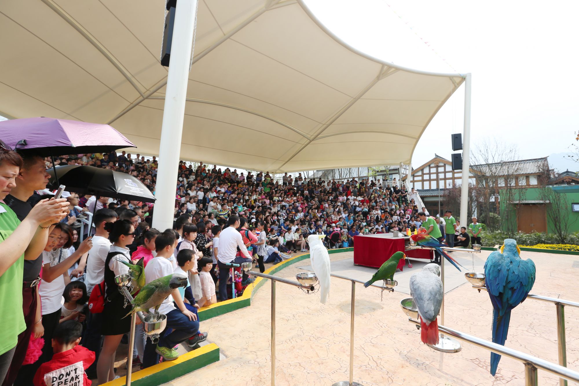 鐔婄尗澶瀬澶т細,澶瀬鐔婄尗鍥藉簡娲诲姩