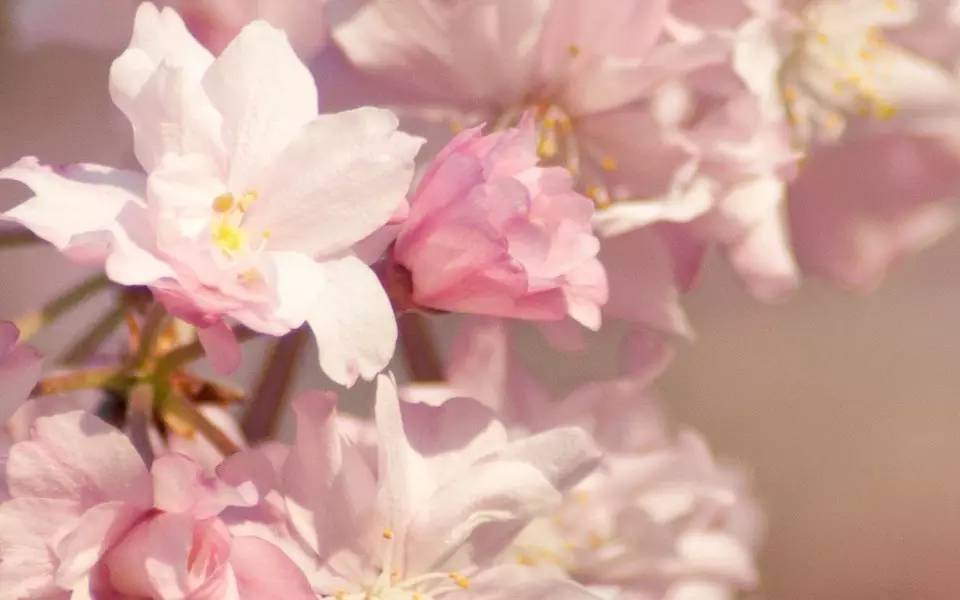 丁中治：解烦杂货铺