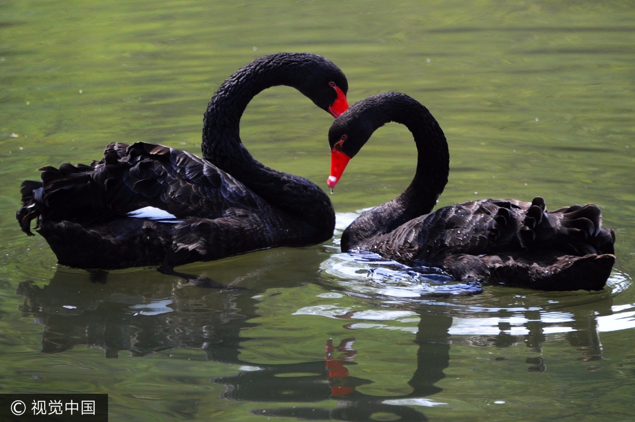 上海乘凉哪里好玩,上海周末乘凉地点排名前十