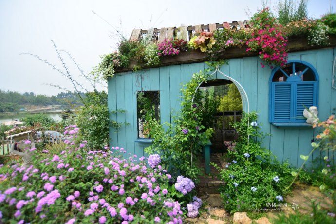 成都玛莉亚色彩花园,成都玛莉亚色彩花园电话