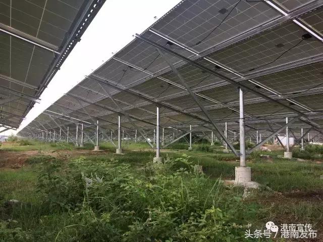 长枪短炮的摄影描述,长枪短炮的摄影器材拍什么好