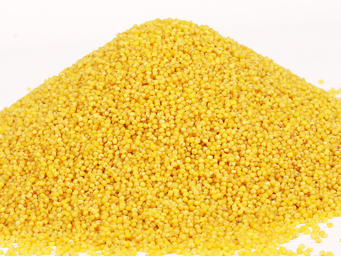 谈古论晋:为啥说山西沁县人是“沁县圪针”?