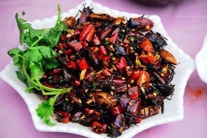 农村臭大姐的臭味有毒吗,农村的臭大姐怎样赶走