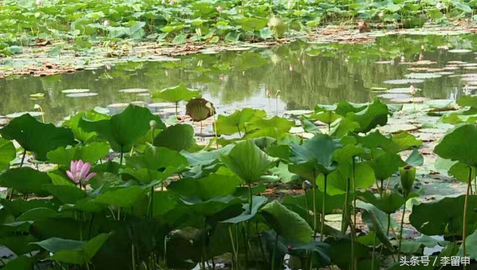 神奇的梦暗藏什么秘密