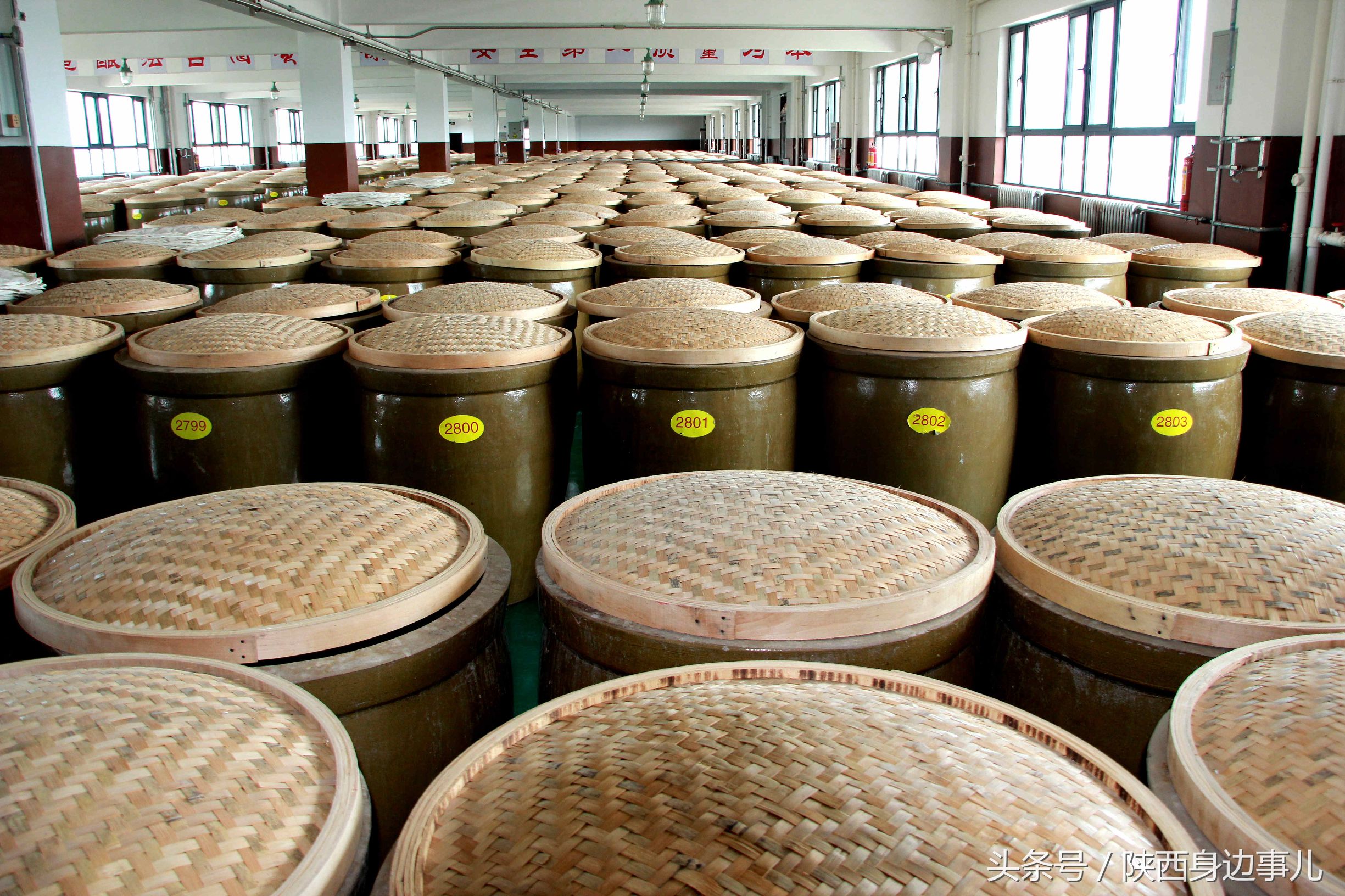 洋县秦洋长生酒业谢村黄酒,洋县秦洋长生酒业抖音号