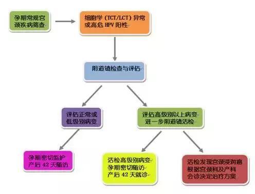 怀孕后宫颈出问题怎么办,怀孕后宫颈病变会不会加重
