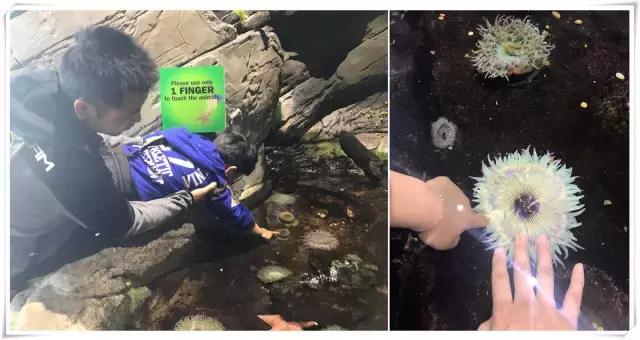 美西景点,美西游玩