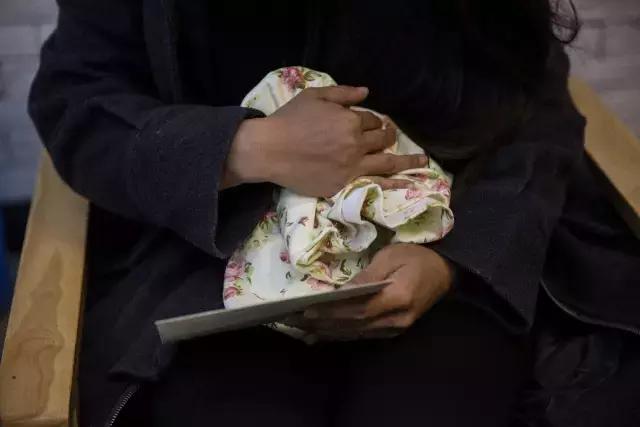 狗生如梦｜ONE实验室