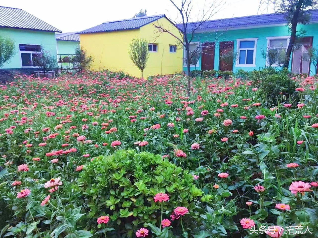 创意农场推荐,有特色创意的农场