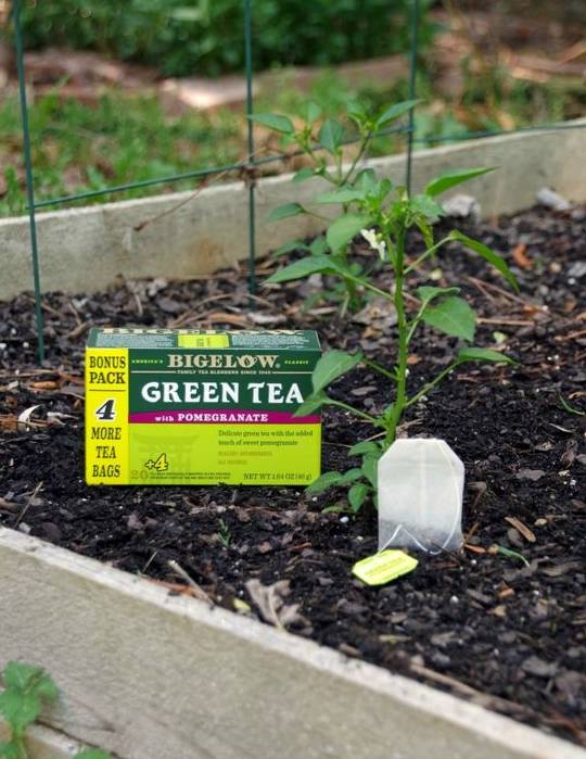 千万别扔掉时间留下来的东西,千万别扔隔夜茶33种小妙用值得看