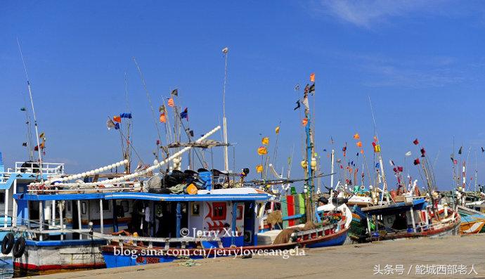 海滩捕鱼的几种方法,海边捕鱼吃海鲜视频大全