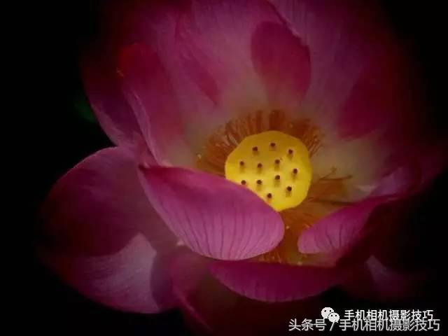 拍好照片的三个标准你值得一看,拍一张好照片容易吗