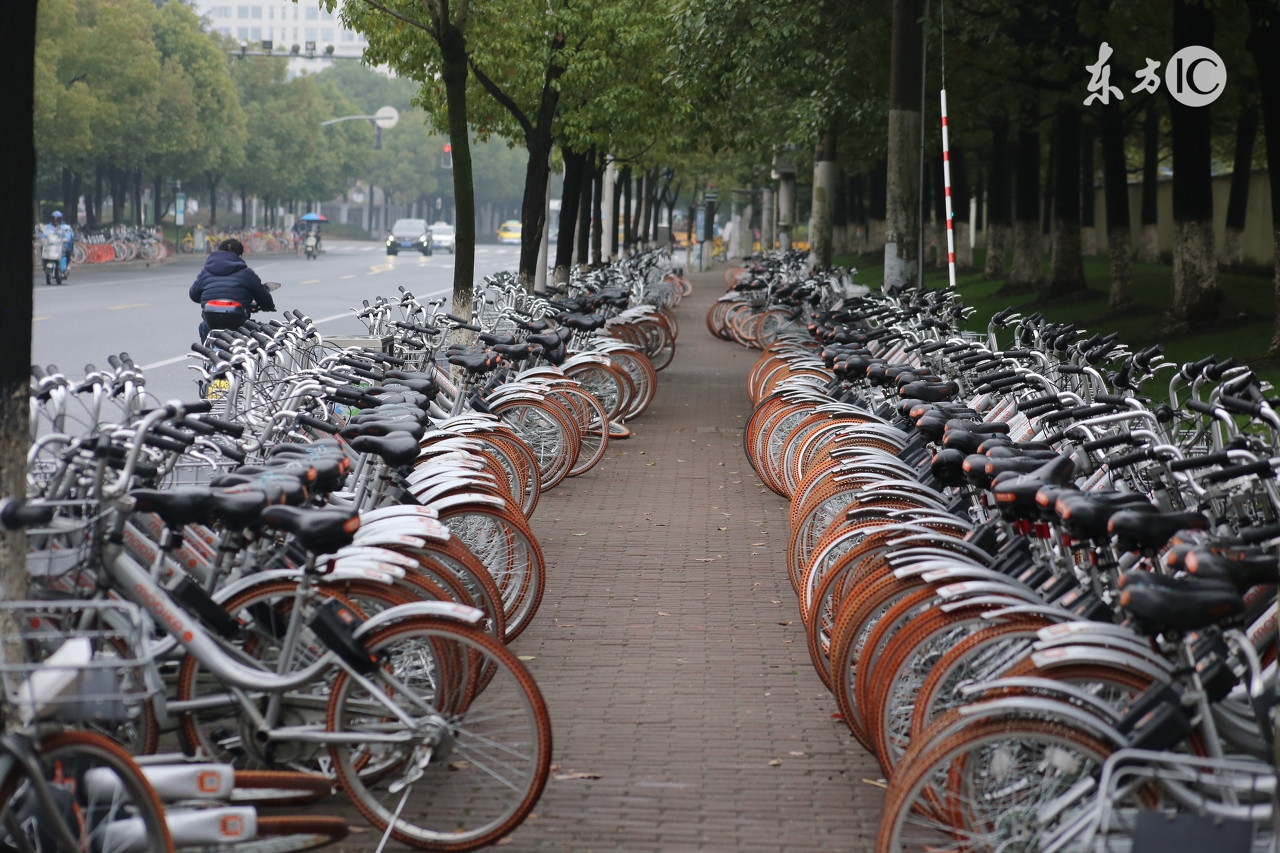 共享问题如何解决,共享文件解决办法