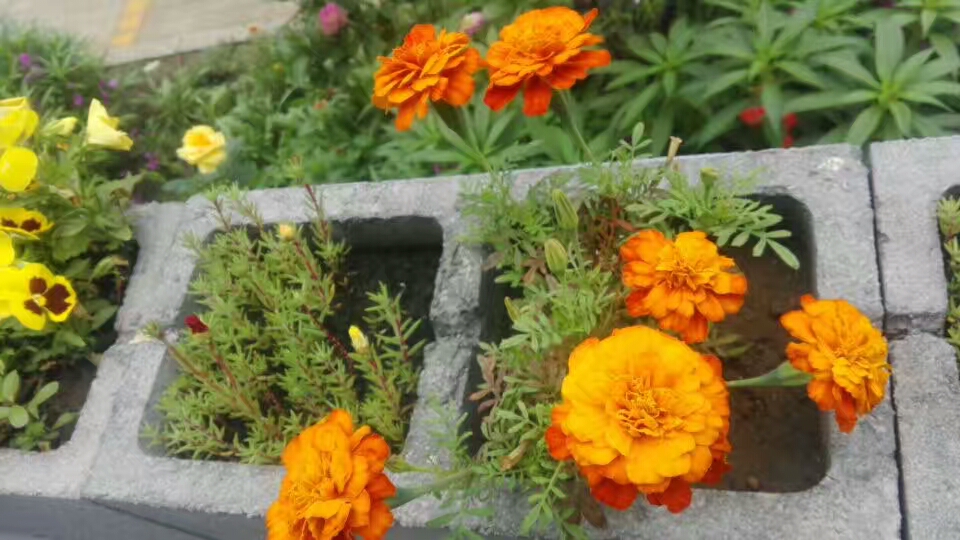 中年以后要懂得人情冷暖,中年人好忘事