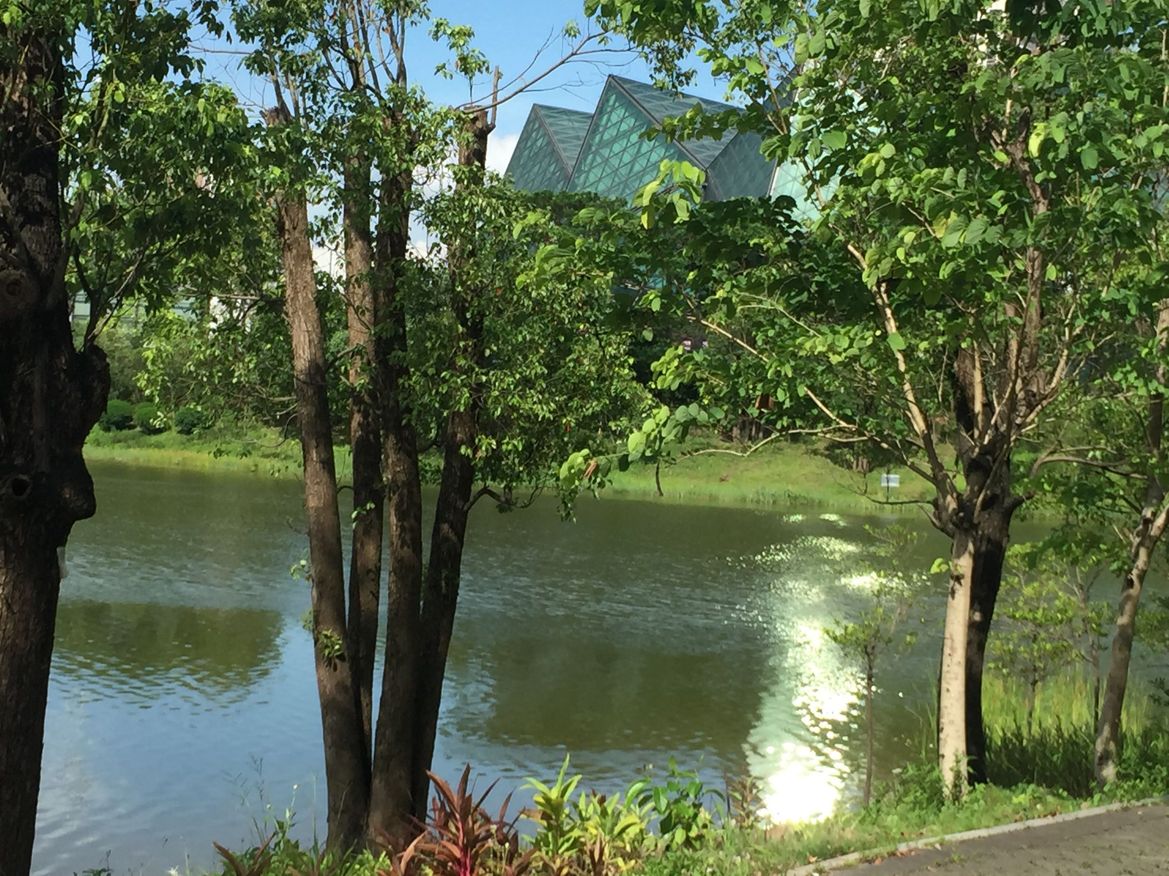 梁静茹你的名字,梁静茹你的名字是爱情吗