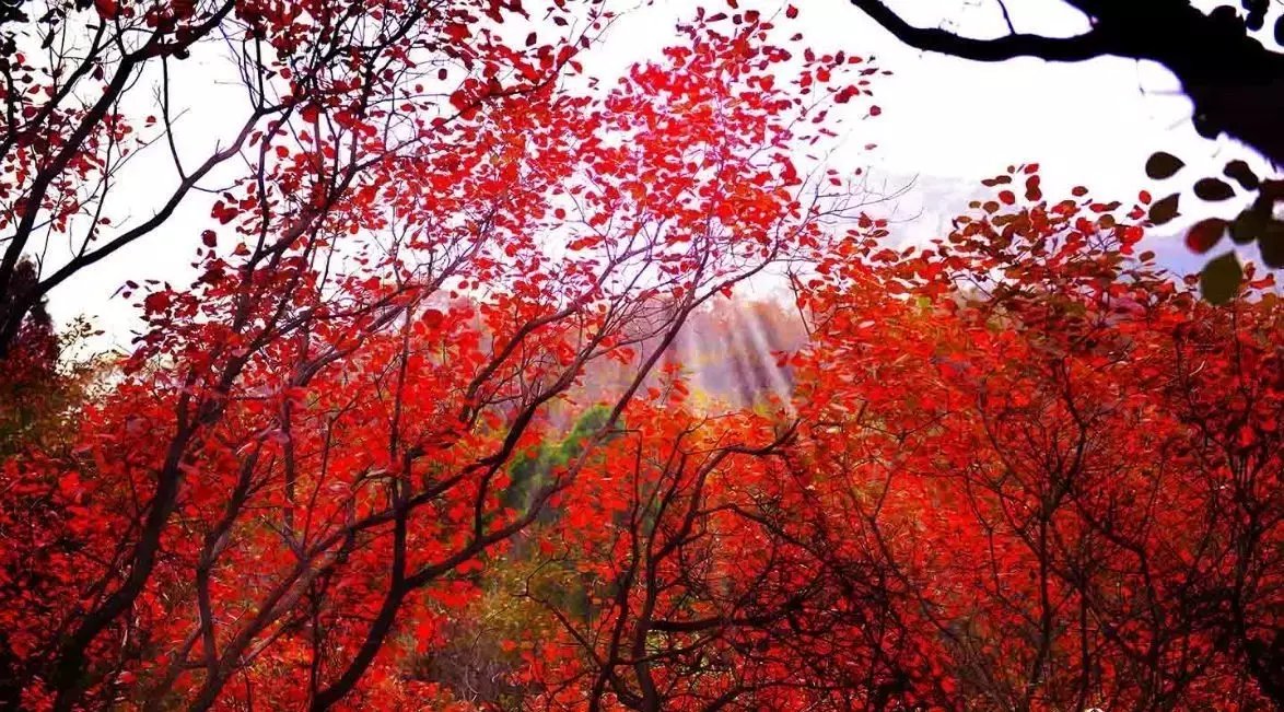 去了就变文盲的8大旅行地，因为你连名字都叫不出