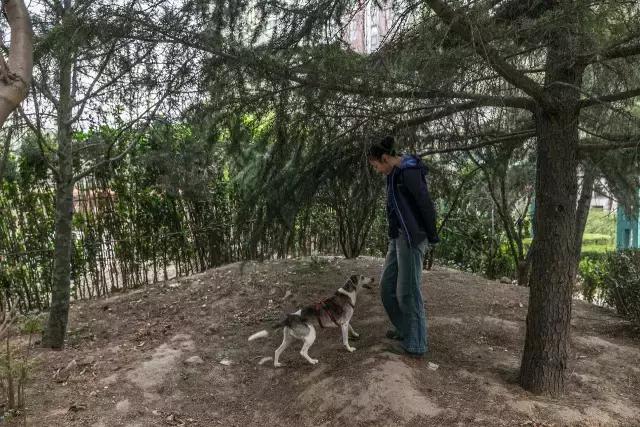 狗生如梦｜ONE实验室