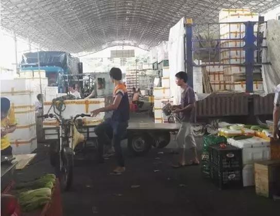 蔬菜批发生意赚不赚钱,蔬菜批发市场卖菜技巧