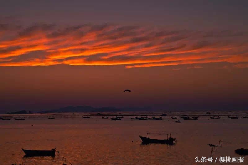 夏天大连去哪个海边可以玩水,大连玩水旅游攻略