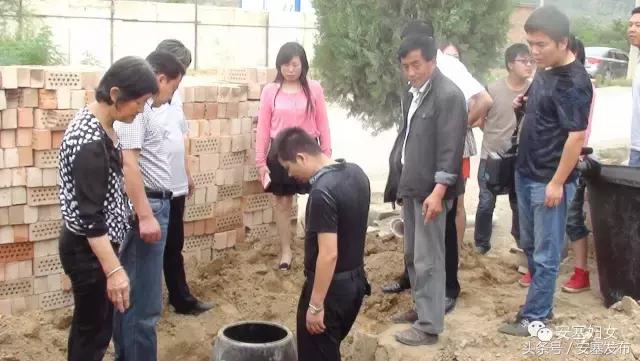 平凡岗位显风彩——记安塞区爱卫办主任倪明慧