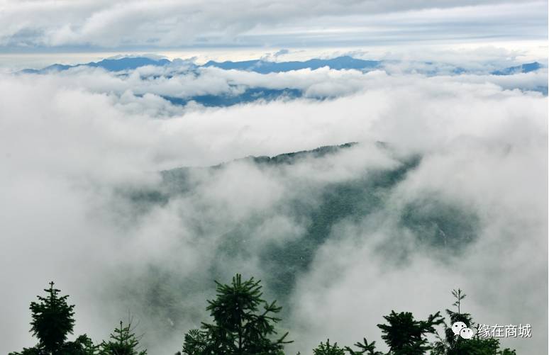 盛夏七月，商城县这几个地方被避暑游客挤爆了……